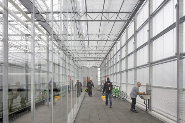 Serre de toiture Agrotopia Roulers