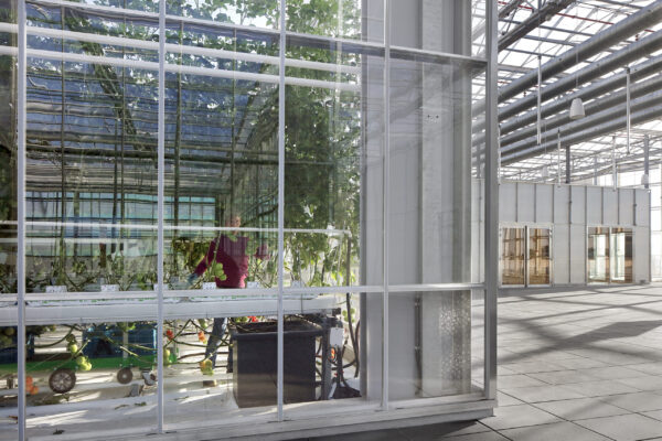 Serre de toiture Agrotopia Roulers
