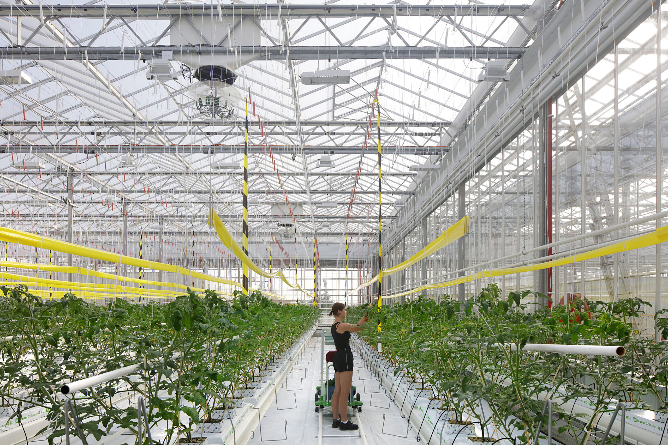 Serre de toiture Agrotopia Roulers